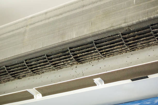 Best Professional Duct Cleaning Services  in New Stanton, PA